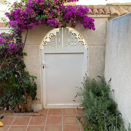 Modern In Altos * Torrevieja